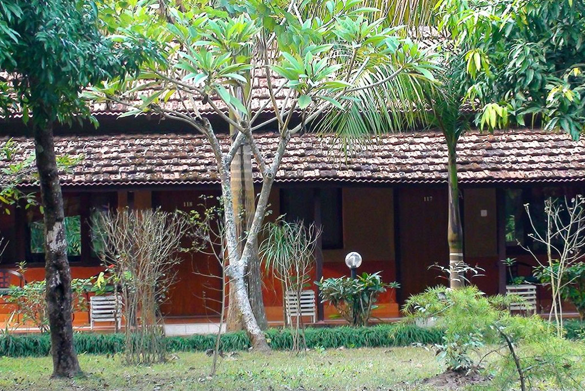 Safari Narayani