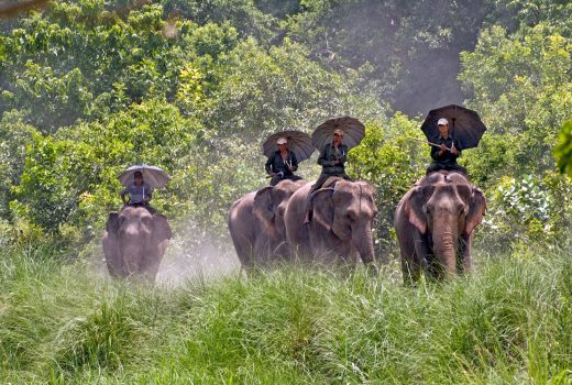 Bardia National Park awarded as the best sustainable destination in Asia Pacific